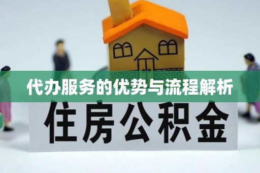 丰原代办服务的优势与流程解析
