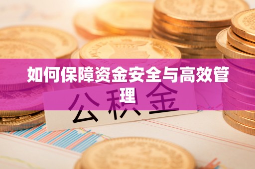 丰原如何保障资金安全与高效管理