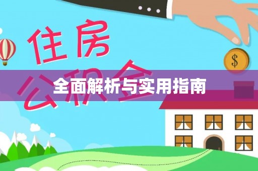 丰原全面解析与实用指南