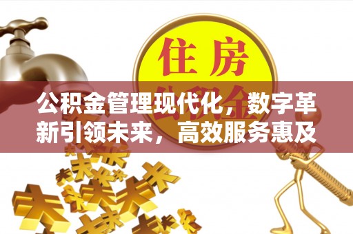 丰原公积金管理现代化，数字革新引领未来，高效服务惠及民生