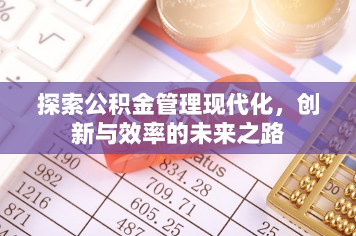 丰原探索公积金管理现代化，创新与效率的未来之路
