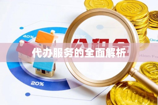 丰原代办服务的全面解析