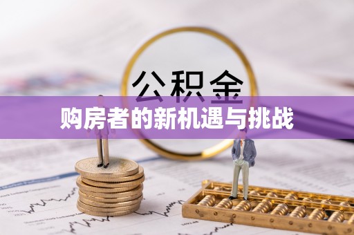 丰原购房者的新机遇与挑战