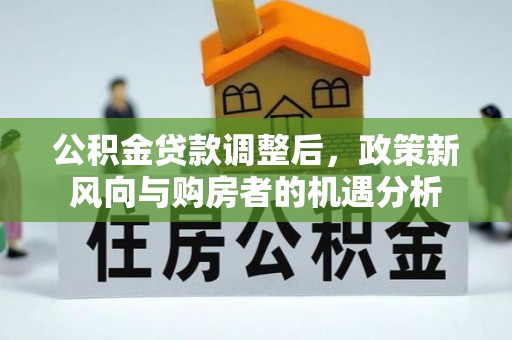 丰原公积金贷款调整后，政策新风向与购房者的机遇分析