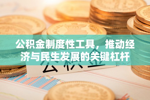 丰原公积金制度性工具，推动经济与民生发展的关键杠杆