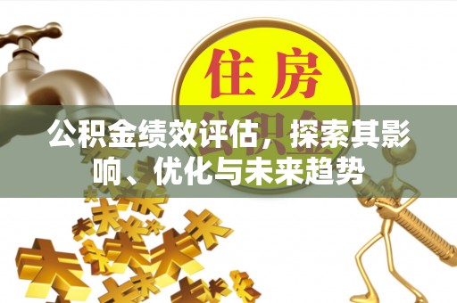丰原公积金绩效评估，探索其影响、优化与未来趋势