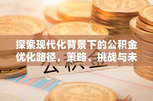 丰原探索现代化背景下的公积金优化路径，策略、挑战与未来展望