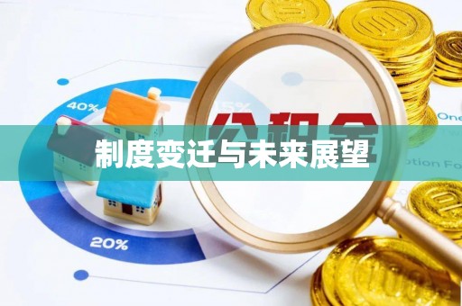 丰原制度变迁与未来展望