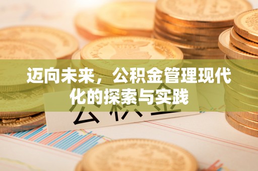 丰原迈向未来，公积金管理现代化的探索与实践
