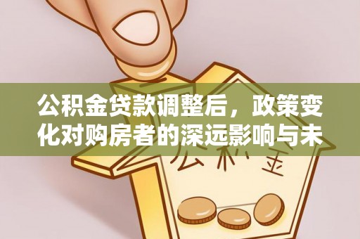 丰原公积金贷款调整后，政策变化对购房者的深远影响与未来趋势分析