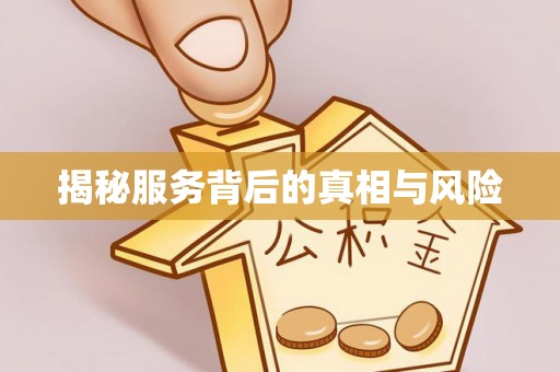 丰原揭秘服务背后的真相与风险