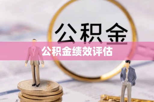 丰原公积金绩效评估