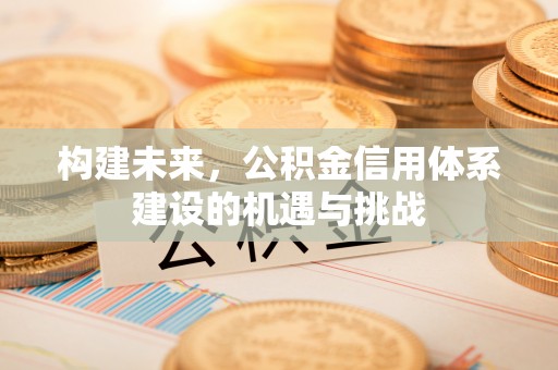 丰原构建未来，公积金信用体系建设的机遇与挑战