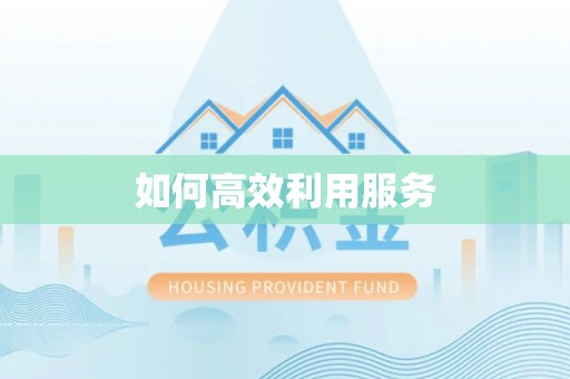 丰原如何高效利用服务