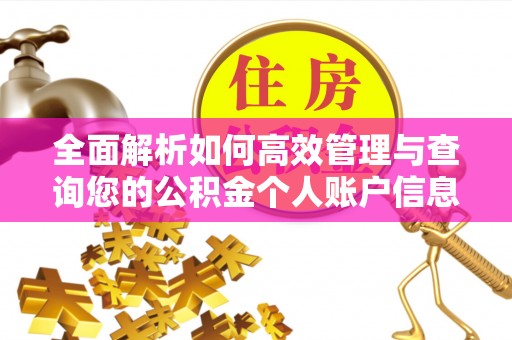 丰原全面解析如何高效管理与查询您的公积金个人账户信息