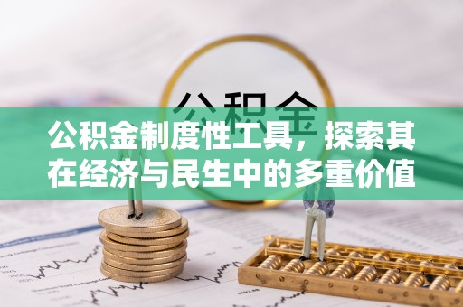 丰原公积金制度性工具，探索其在经济与民生中的多重价值