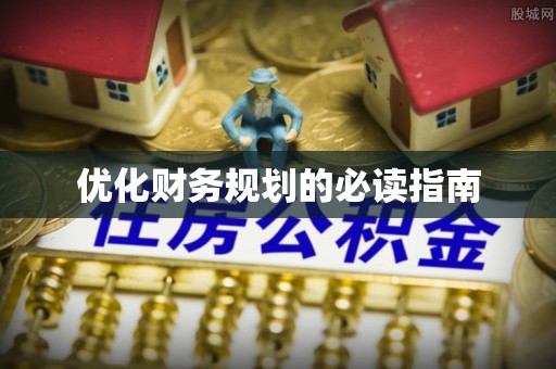 丰原优化财务规划的必读指南