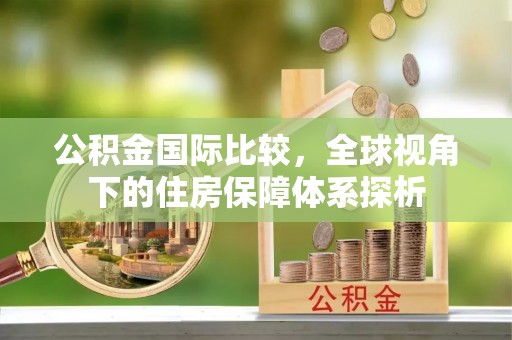 丰原公积金国际比较，全球视角下的住房保障体系探析