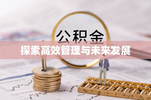 丰原探索高效管理与未来发展