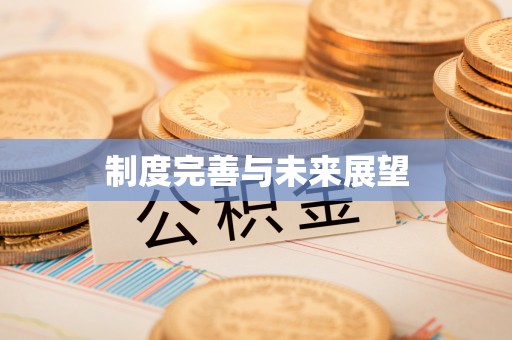 丰原制度完善与未来展望