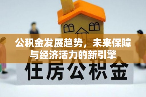 丰原公积金发展趋势，未来保障与经济活力的新引擎