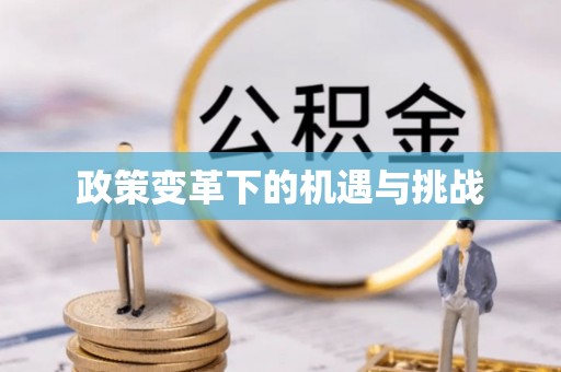 丰原政策变革下的机遇与挑战