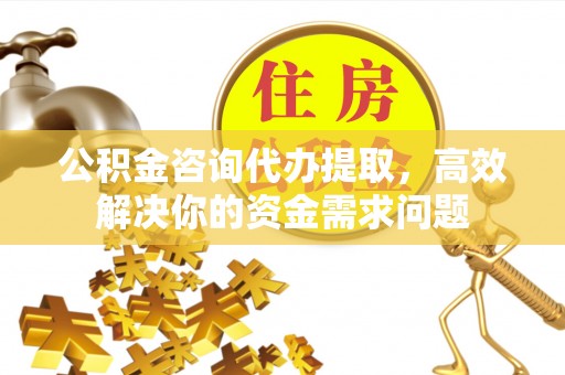 丰原公积金咨询代办提取，高效解决你的资金需求问题