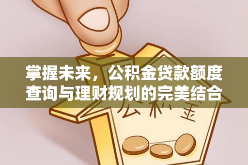 丰原掌握未来，公积金贷款额度查询与理财规划的完美结合