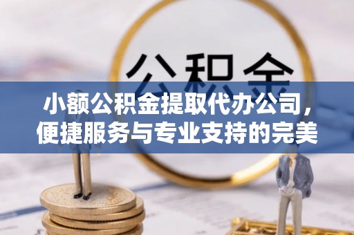 丰原小额公积金提取代办公司，便捷服务与专业支持的完美结合