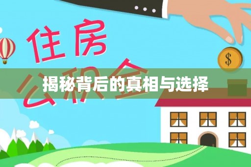 丰原揭秘背后的真相与选择