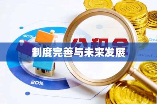 丰原制度完善与未来发展