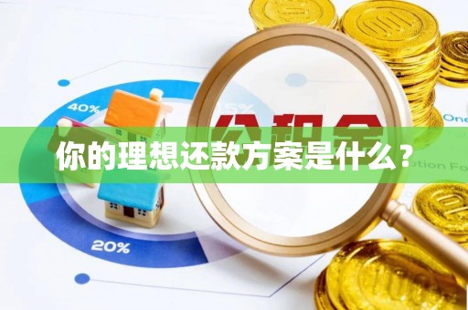丰原你的理想还款方案是什么？