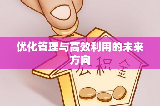 丰原优化管理与高效利用的未来方向
