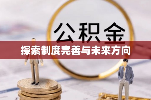丰原探索制度完善与未来方向