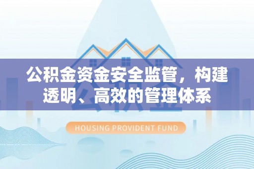 丰原公积金资金安全监管，构建透明、高效的管理体系
