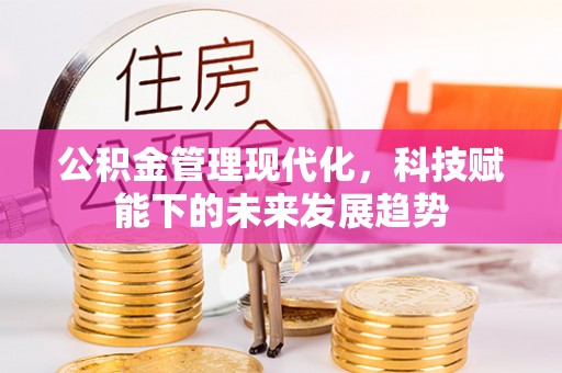 丰原公积金管理现代化，科技赋能下的未来发展趋势