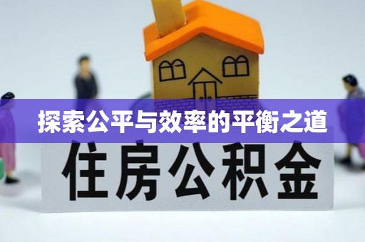 丰原探索公平与效率的平衡之道