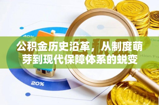 丰原公积金历史沿革，从制度萌芽到现代保障体系的蜕变
