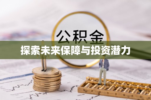 丰原探索未来保障与投资潜力