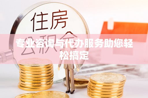 丰原专业咨询与代办服务助您轻松搞定