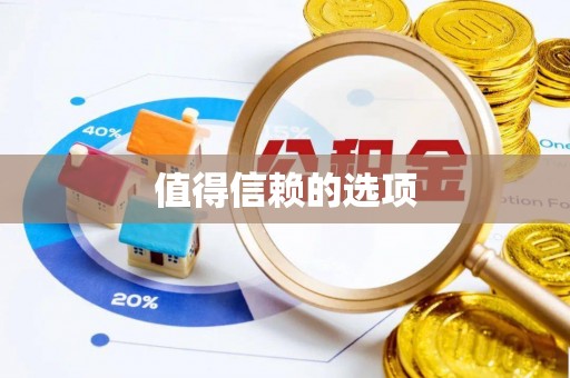 丰原值得信赖的选项