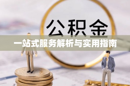丰原一站式服务解析与实用指南