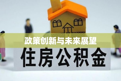 丰原政策创新与未来展望