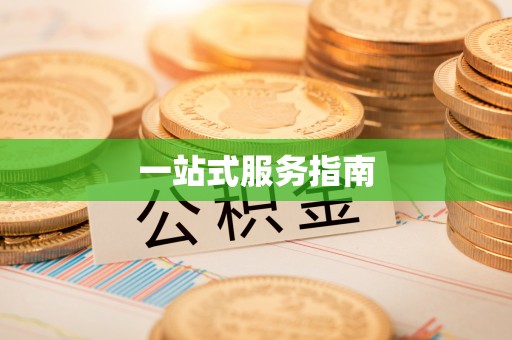 丰原一站式服务指南