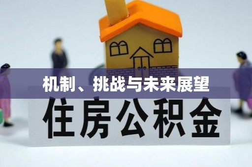 丰原机制、挑战与未来展望