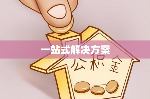 丰原一站式解决方案