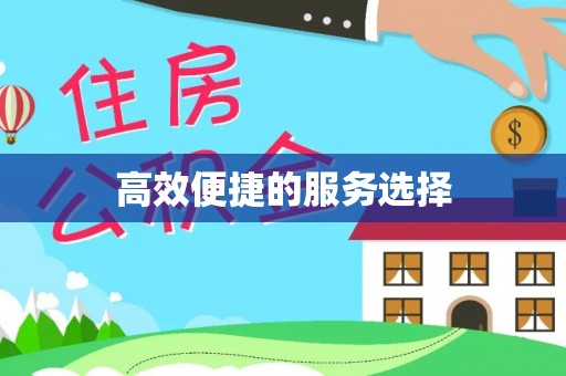 丰原高效便捷的服务选择