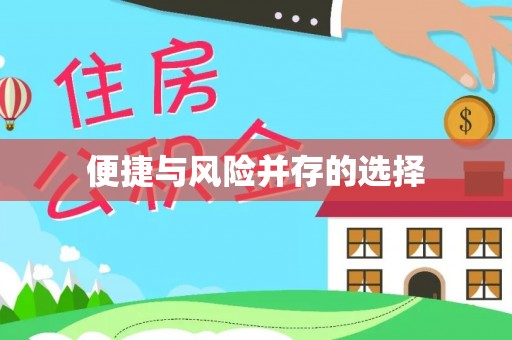 丰原便捷与风险并存的选择