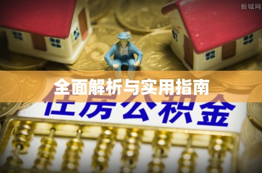 丰原全面解析与实用指南