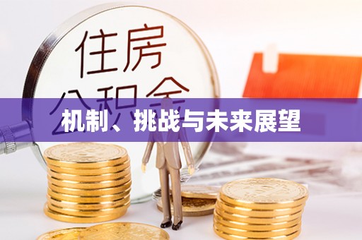 丰原机制、挑战与未来展望